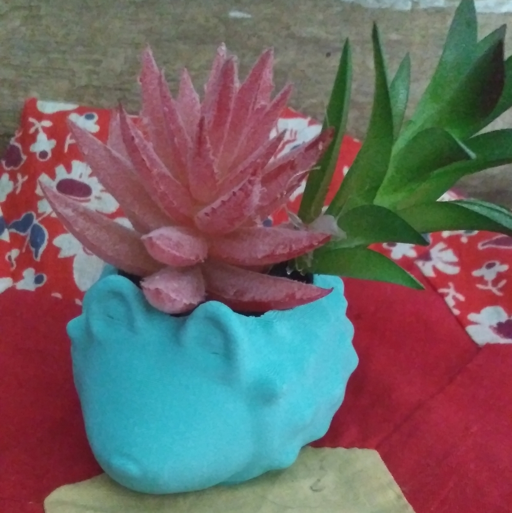 Teal Hedgehog mini succulent planter 3D printed